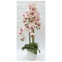 Արհեստական Ծաղիկ  "Orchid"