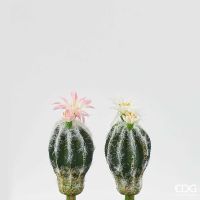 Искусственный цветок "Cactus"