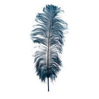 Decor "Feather blue"