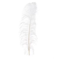 Decor "Feather white"