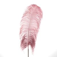 Decor "Feather pink"