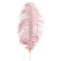 Դեկոր "Feather pink"